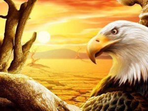Eagle Slide Puzzle Game