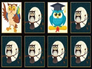 Matching Owls: A Brain Workout