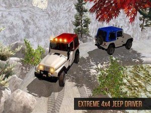 Mountain Trail Vehicle Control