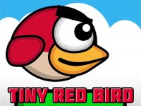 Tiny Red Bird Online Arcade Game