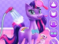 Unicorn Grooming Pony Care
