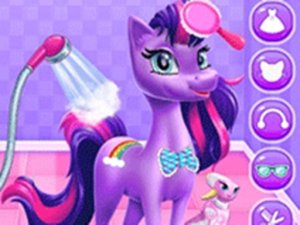 Unicorn Grooming Pony Care