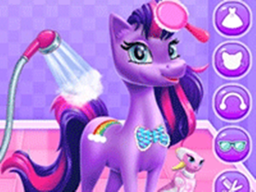Unicorn Grooming Pony Care