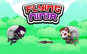 Flying Ninja: Endless Sky Adventure Online Game