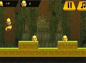 Wild Canopy Quest